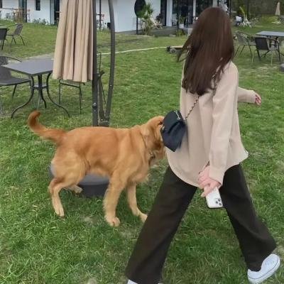 钻石王牌第三季
